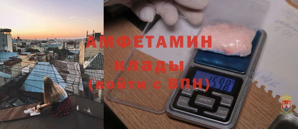 шишки Алзамай