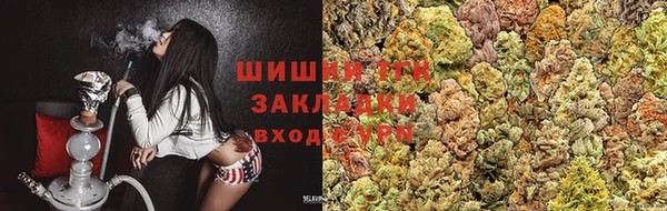 шишки Алзамай